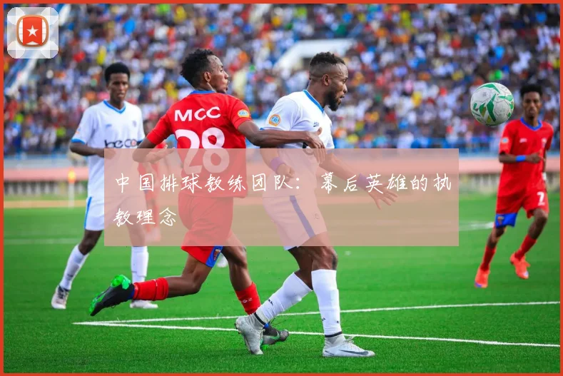 中国排球教练团队:幕后英雄的执教理念