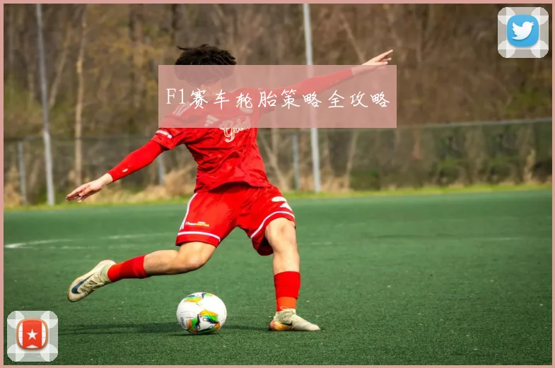 F1赛车轮胎策略全攻略