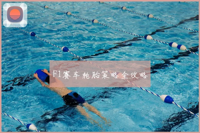 F1赛车轮胎策略全攻略